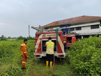 3 Truk Damkar di Jember Kesulitan Padamkan Api Kebakaran: Karena Umur Kendaraan Tua