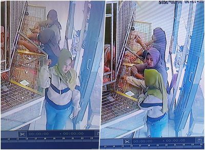 Aksi Komplotan Emak-emak di Jember Curi Kalung Emas Terekam CCTV, Polisi: Kami Belum Terima Laporan