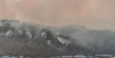 Kebakaran Hutan di Korea Selatan Tewaskan Empat Orang, Ratusan Warga Dievakuasi