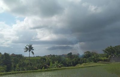 Waspada Potensi Cuaca Ekstrem di Wilayah Bali pada 14-16 April 2025