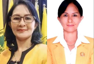 Profil Megawati Zebua, Anggota DPRD Sumut yang Ribut dan Mencekik Pramugari di Pesawat