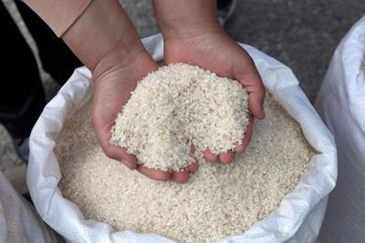 Krisis Pangan Memuncak, Jepang Impor Beras dari Korea Selatan untuk Pertama Kali Setelah 25 Tahun