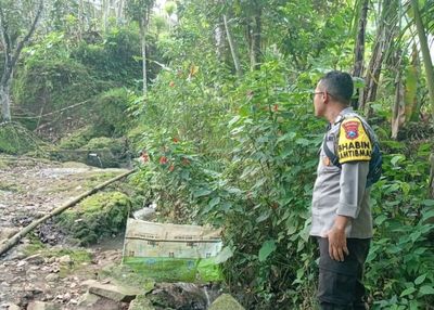 Pasutri Diseruduk Babi Hutan saat Mandi di Sumber Air, Dilarikan ke Rumah Sakit