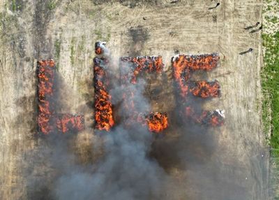 Puluhan Ribu Warga Kota di Turki Mabuk Massal Gegara Polisi Bakar 20 Ton Ganja Sitaan