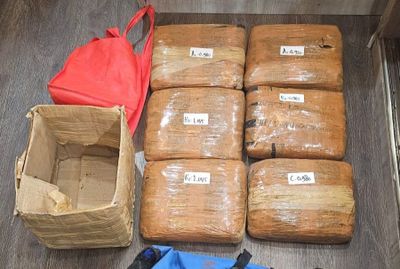 Polda Metro Gagalkan Peredaran 6 Kg Ganja Jaringan Sumatera di Jaktim, 1 Pelaku Diamankan