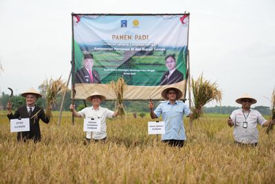 Alasan Ahli Pangan UGM Sebut Pengembangan Novel Food Bantu Atasi Krisis Pangan