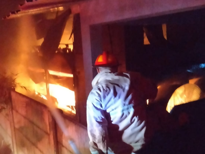 Kandang Berisi 24 Ribu Ayam Potong Terbakar, Kerugian Capai Rp4 Miliar