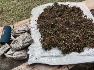 Modus Baru Peredaran Ganja 143 Kg Digagalkan Polda Metro: Dikemas Koper, Dititip Bagasi di Bus ALS