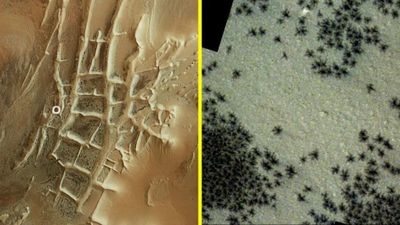 Mengungkap Misteri Ratusan Laba-laba Raksasa di Planet Mars