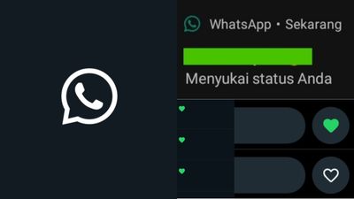 Cara Bisa Like Status Teman di WhatsApp