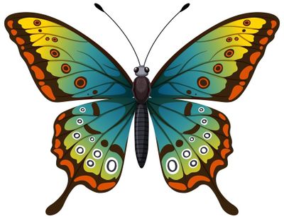 Papilio Blumei: Kupu-Kupu Sulawesi yang Menginspirasi Teknologi Sekarang dan Masa Depan