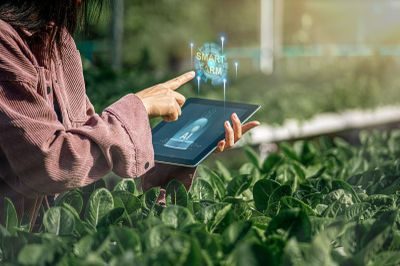 Transformasi Digital dalam Pertanian: Peluang dan Tantangan