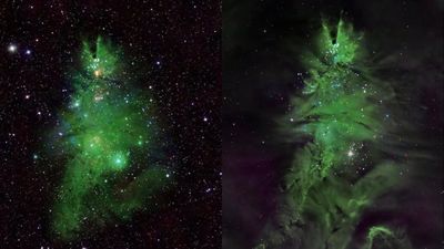 Fenomena Langka: Gugus Bintang Pohon Natal Berhasil Diabadikan NASA