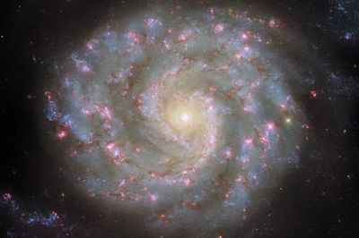 Hubble Temukan Galaksi Spiral Cantik NGC 3596, Mirip Obat Nyamuk di Langit