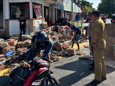 Diduga Ban Selip, Mobil Muatan Tumpahkan Ribuan Telur di Jalan Raya