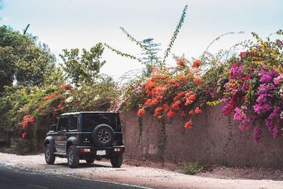 Kisah Asal Mula Mobil Jeep Disebut Mobil Penculik, Berawal dari Pencarian Tumbal