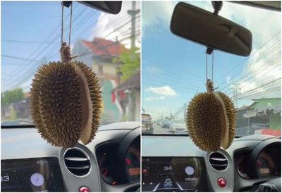 Viral Kulit Durian Digantung Jadi Pengharum Mobil, Netizen Klenger Kebayang Aromanya: Baru Buka Pintu Udah Muntah