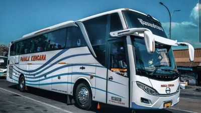 5 Perbedaan Bus SHD dan HDD yang Harus Kamu Ketahui, Busmania Wajib Tahu!