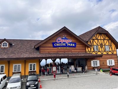 Cepogo Cheese Park Bisa Sambil Belajar Membuat Keju, Wisata Edukasi Baru di Boyolali