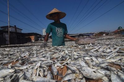 Produk Ikan Asin Berpotensi Tingkatkan Kekuatan Ekonomi, Relawan Ganjar Ajak Warga Pangandaran Lakukan Ini