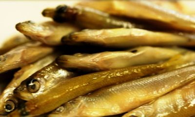 Aman dari Limbah Nuklir, Ini Ikan Wakasagi Dulunya Hanya Dinikmati Raja dan Keluarganya