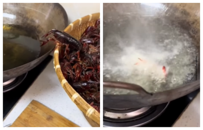 Detik-detik Seekor Lobster Nyemplung ke Minyak Panas: Mandiri Goreng Diri Sendiri