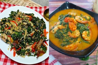 4 Resep Olahan Daun Singkong Santan dan Tanpa Santan, Simple!
