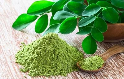 Resep Sop Daun Kelor, Sehat dan Penuh Nutrisi untuk Keluarga Anda