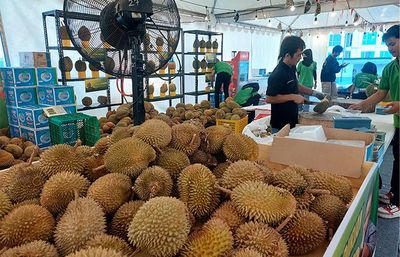 Merihakan Hari Kemerdekaan, Mal Kokas Tawarkan Makan Durian Sepuasnya Bagi Pengunjung