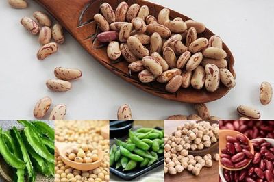 10 Jenis Kacang dengan Protein Tinggi, Bermanfaat untuk Kesehatan Tubuh