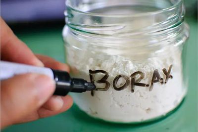 4 Ciri-Ciri Makanan Mengandung Boraks yang Harus Anda Waspadai