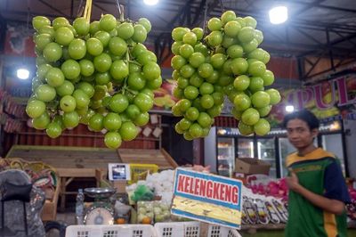 BPOM Pastikan Anggur Shine Muscat Aman Dikonsumsi
