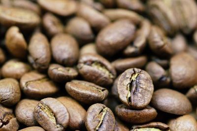 Mengenal Typica, Kopi Arabika Langka yang Punya Rasa Enak Banget