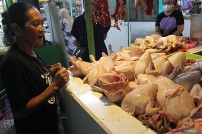 Heboh Kasus Ayam Gelonggongan di Jaksel, Ternyata Begini Cara Membedakannya