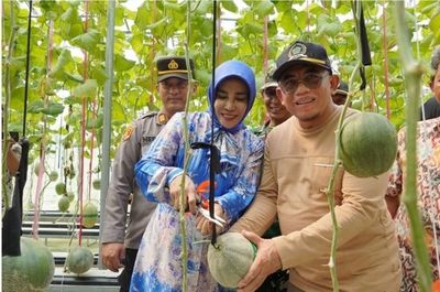 Panen Melon Hidroponik di Sidoarjo, Inovasi Desa Gempol Klutuk Bikin Pejabat Terpukau