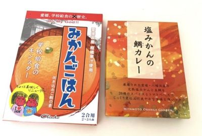 Berani Coba Dua Makanan Jepang Viral Nasi Jeruk Mandarin dan Ikan Asin Kari?