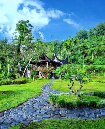 Keren, Taruko Cafe and Resto Bukittinggi Beri Sensasi Ngopi di Dasar Lembah