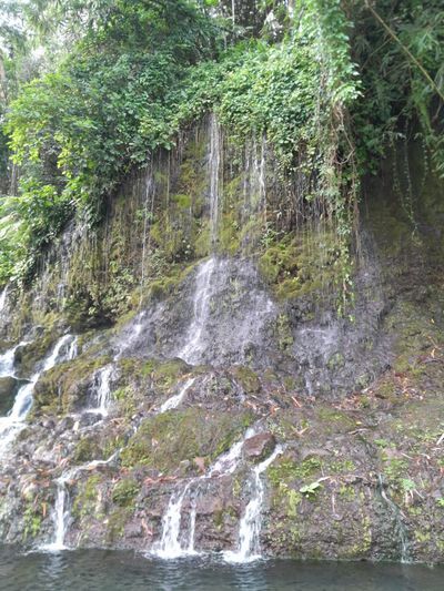 Air Terjun Pancor Kopong: Hidden Gem di Lombok, Airnya Merembes dari Akar Pohon