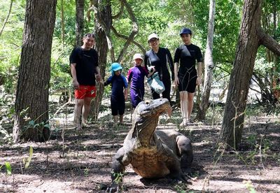 Petualangan ke Pulau Komodo, Melihat Lebih Dekat Hewan Purba Orah  yang Dilindungi 