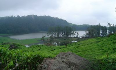 Wisata Kebun Teh Rancabali, Peninggalan Belanda dengan Spot Estetik