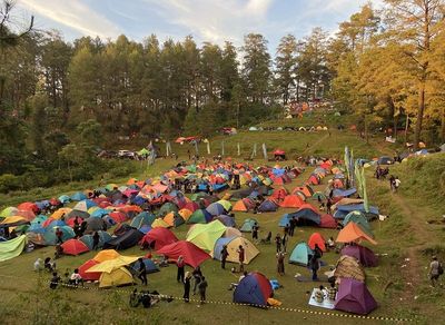 Penampakan Ratusan Tenda Wisatawan di Kawasan Hutan Pinus Malino, Hidden Gems yang Bikin Takjub