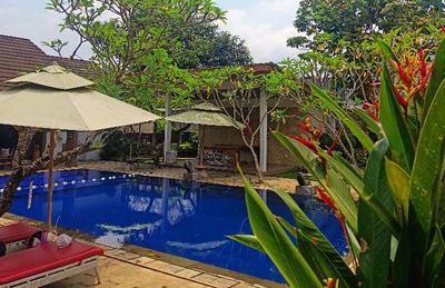 Harny s Garden Villa, Tempat Healing Asyik di Kendal Suasananya Bali Banget!
