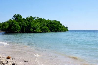 Pesona Pantai Tanjung Bastian di Timor Tengah Utara NTT, Beri Sensasi Teduh dan Nyaman dengan Landscape Indah