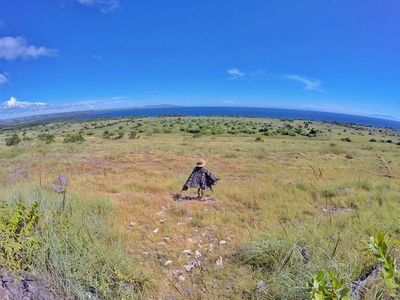 Savana Purukambera, Keheningan dengan Sejuta Keindahan Alam