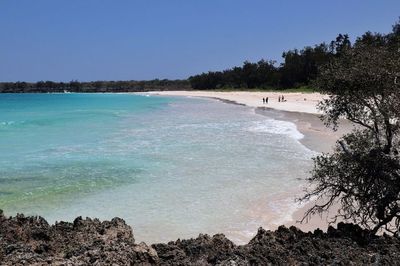 Rekomendasi Pantai Keren di Pulau Semau yang Wajib Disambangi