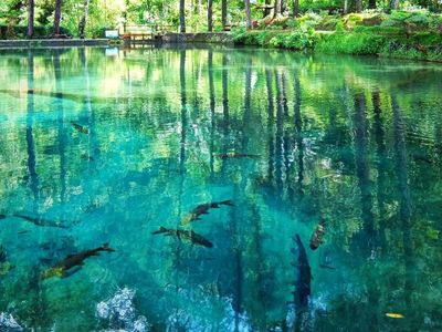 Telaga Rambut Monte, Wisata Hidden Gem di Blitar Punya Sumber Air Sebening Kaca