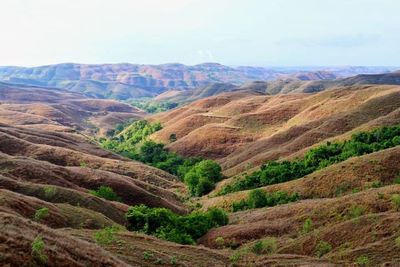 Pesona Bukit Wairinding Sumba Timur, Bisa Naik Kuda Sambil Menikmati Pemandangannya