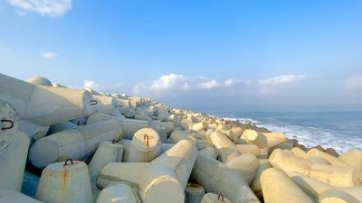 Melihat Keindahan Pantai Congot, Berhias Tetrapod Vibes-nya Mirip di Drama Korea