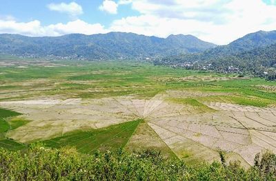 Melihat Pesona Sawah Jaring Laba-laba di Manggarai, NTT