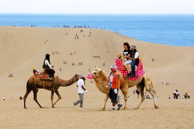 Rekreasi ke Tottori Sand Dunes, Gurun Pasir Versi Jepang dengan Pemandangan Menakjubkan